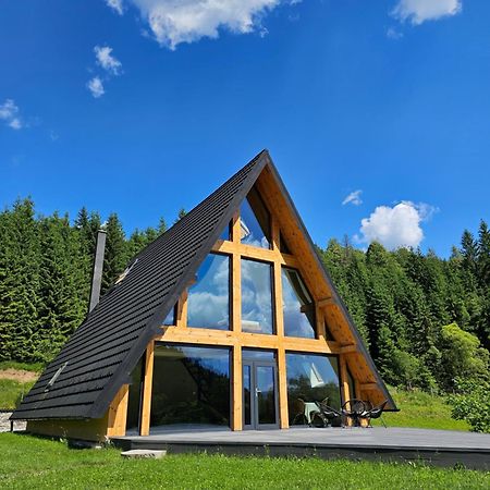 Cabana Cozy Cabin A Frame Topliţa エクステリア 写真